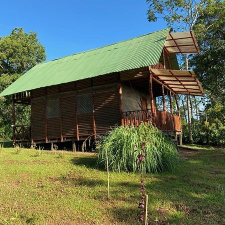 Eco Guest House- Sarapiqui 2 Dış mekan fotoğraf