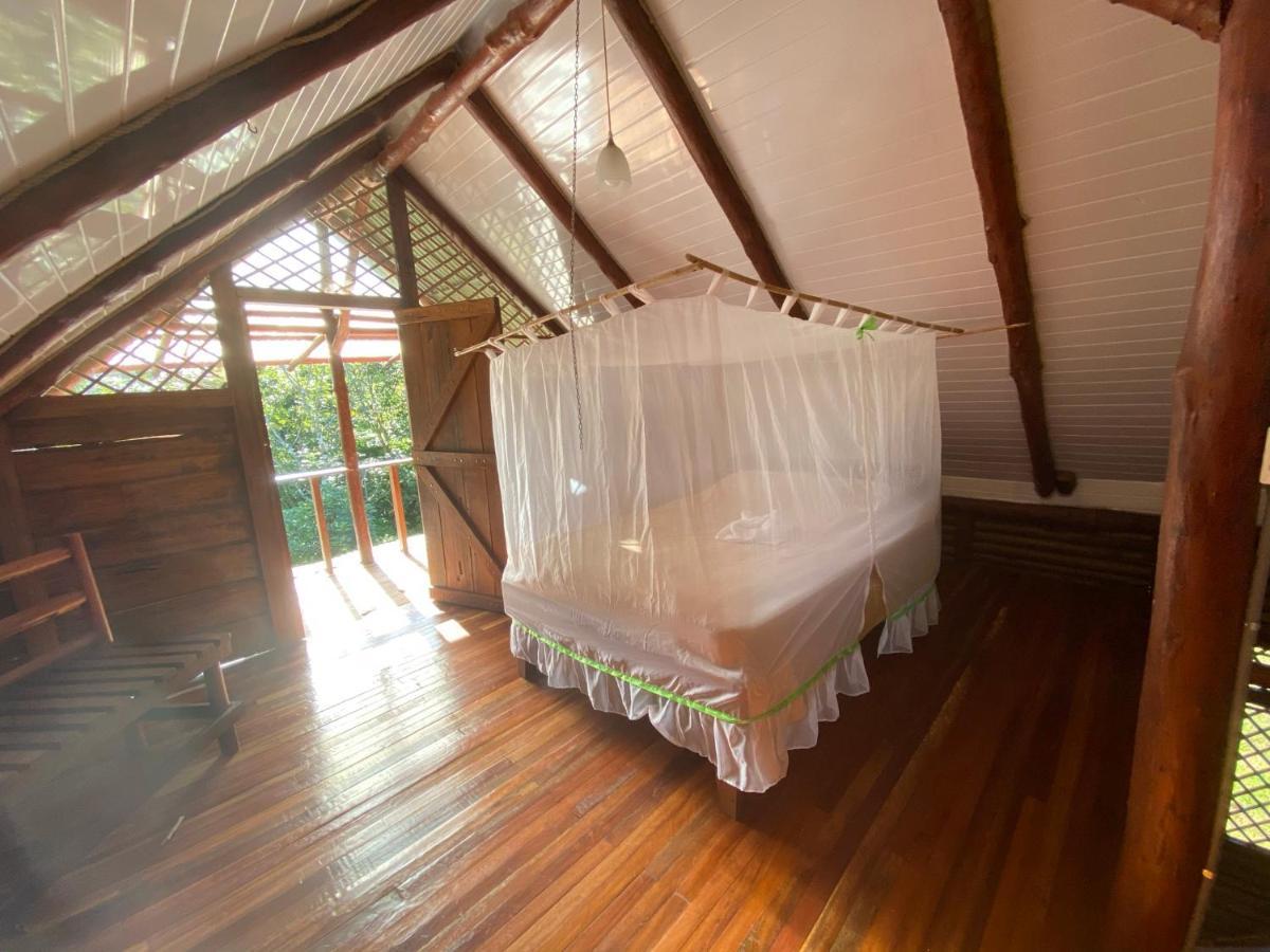 Eco Guest House- Sarapiqui 2 Dış mekan fotoğraf