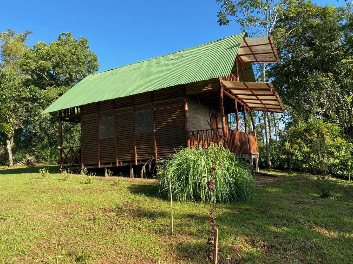 Eco Guest House- Sarapiqui 2 Dış mekan fotoğraf